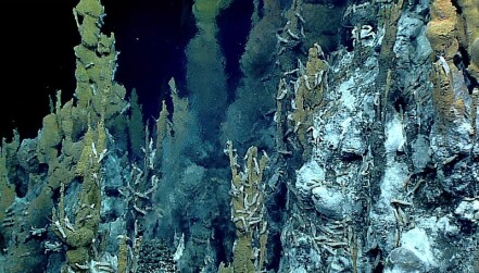 Life congregates around a hydrothermal vent chimney on the floor of the Pacific Ocean.