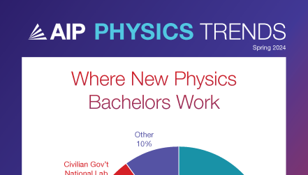 Where New Physics Bachelors Work