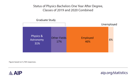 Figure 1: Status of Physics Bachelors One Year After Degree. 31% of respondents were in graduate school studying physics or astronomy. 17% were in graduate school in another subject. 46% were employed. 6% were unemployed.