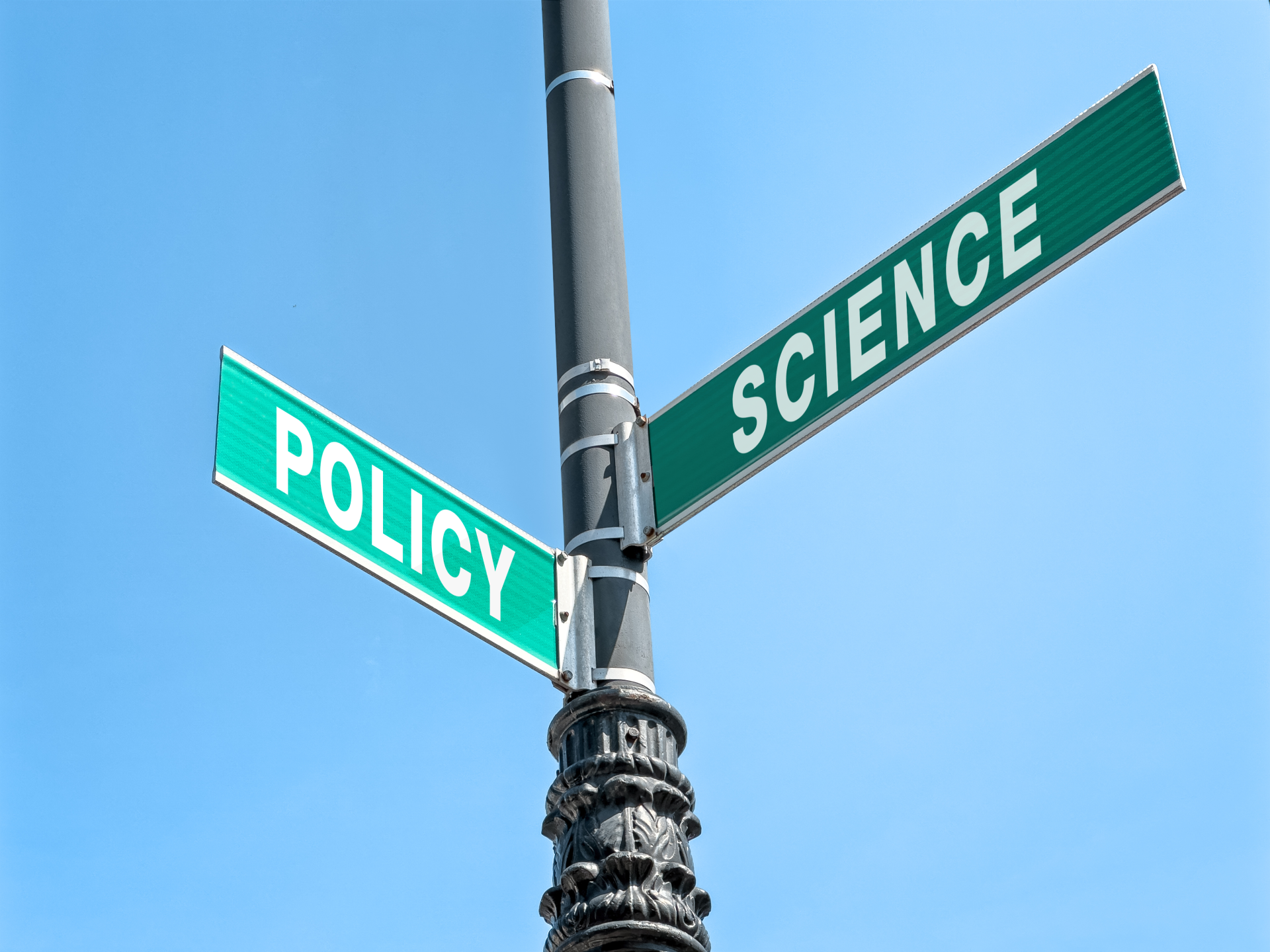 AIPF science-policy-corner.png