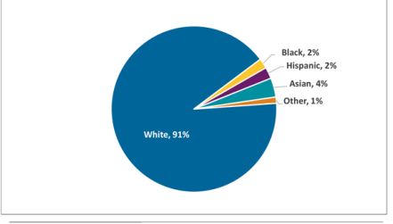 Race/Ethnicity of US High School Physics Teachers Academic Year 2012-13