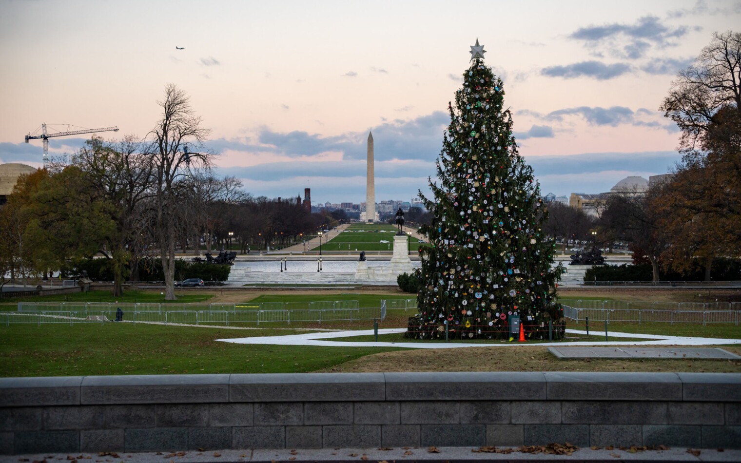 capitol-christmas-tree-2023.jpg