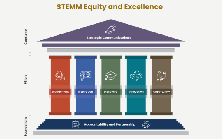 STEMM Equity and Excellence 2050 pillar graphic.png