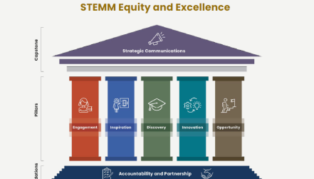 STEMM Equity and Excellence 2050 pillar graphic.png