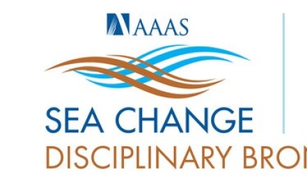 PA SEA Change Bronze Award logo.jpg