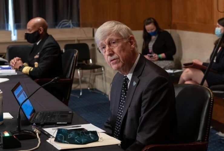 NIH Director Francis Collins testifying at a Senate hearing.