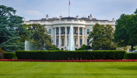 The White House in summer