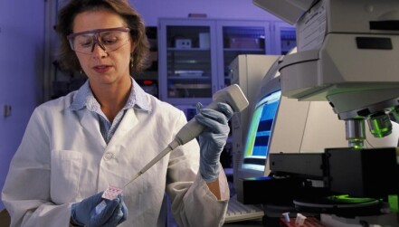 Laurie Locascio working in a research lab at the National Institute of Standards and Technology.