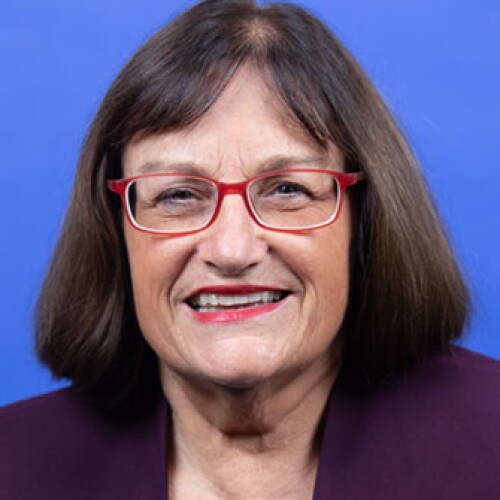 Ann Kuster