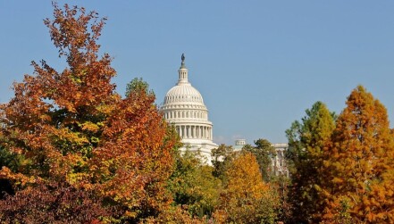 The dome of U.S. Capitol Building between fall trees