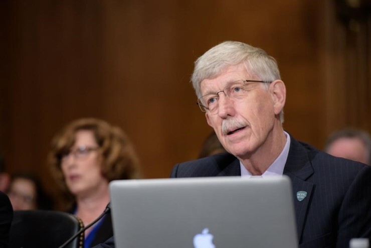 NIH Director Francis Collins